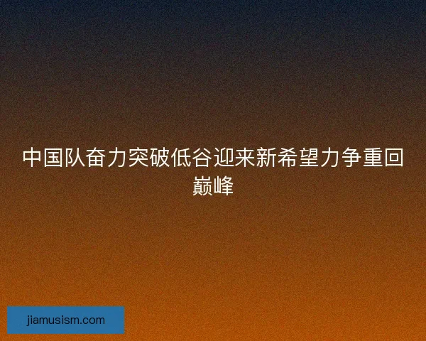 中国队奋力突破低谷迎来新希望力争重回巅峰